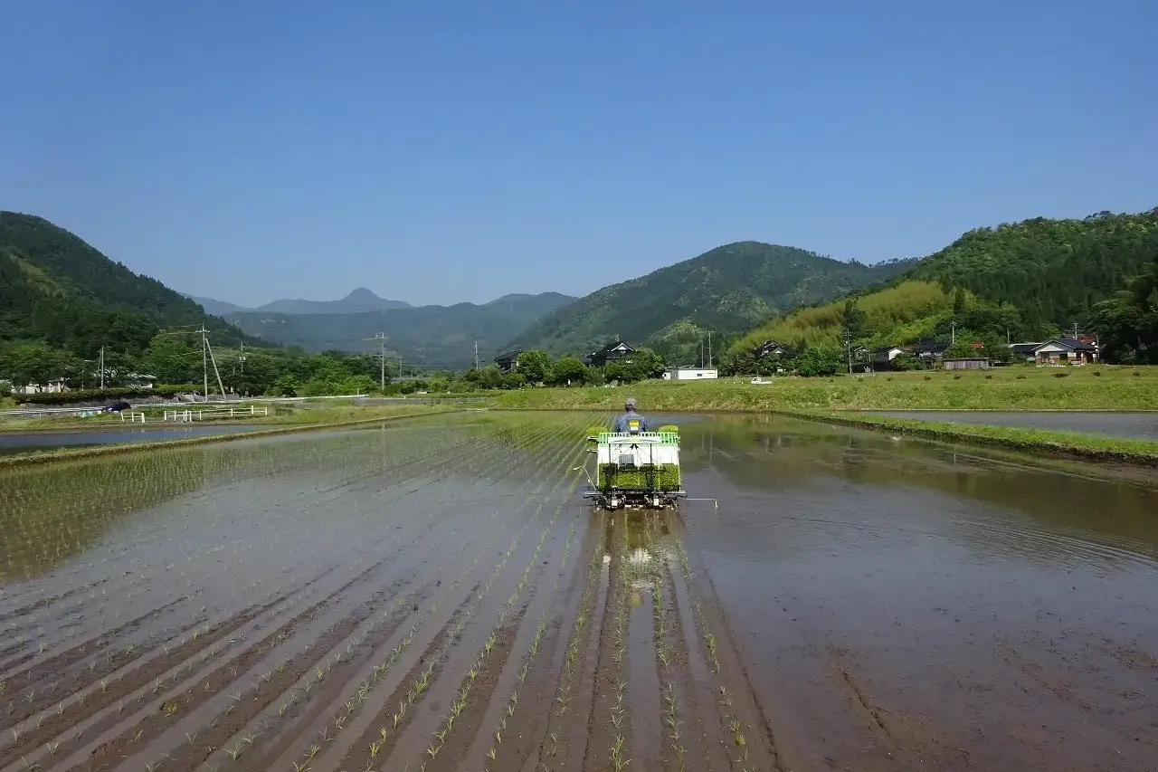 鳥取県河原町の大隅さんの田植え風景、中国山地の山々を背景に