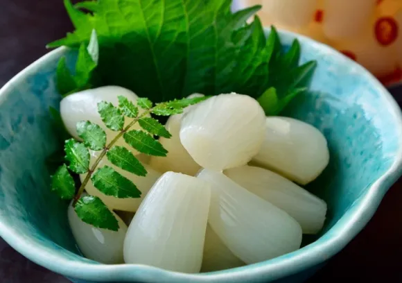 砂丘らっきょう