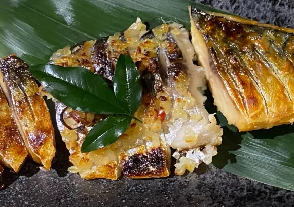 鳥取の発酵食品：鯖のへしこ、鯖の塩麹、鯖の酒粕漬け