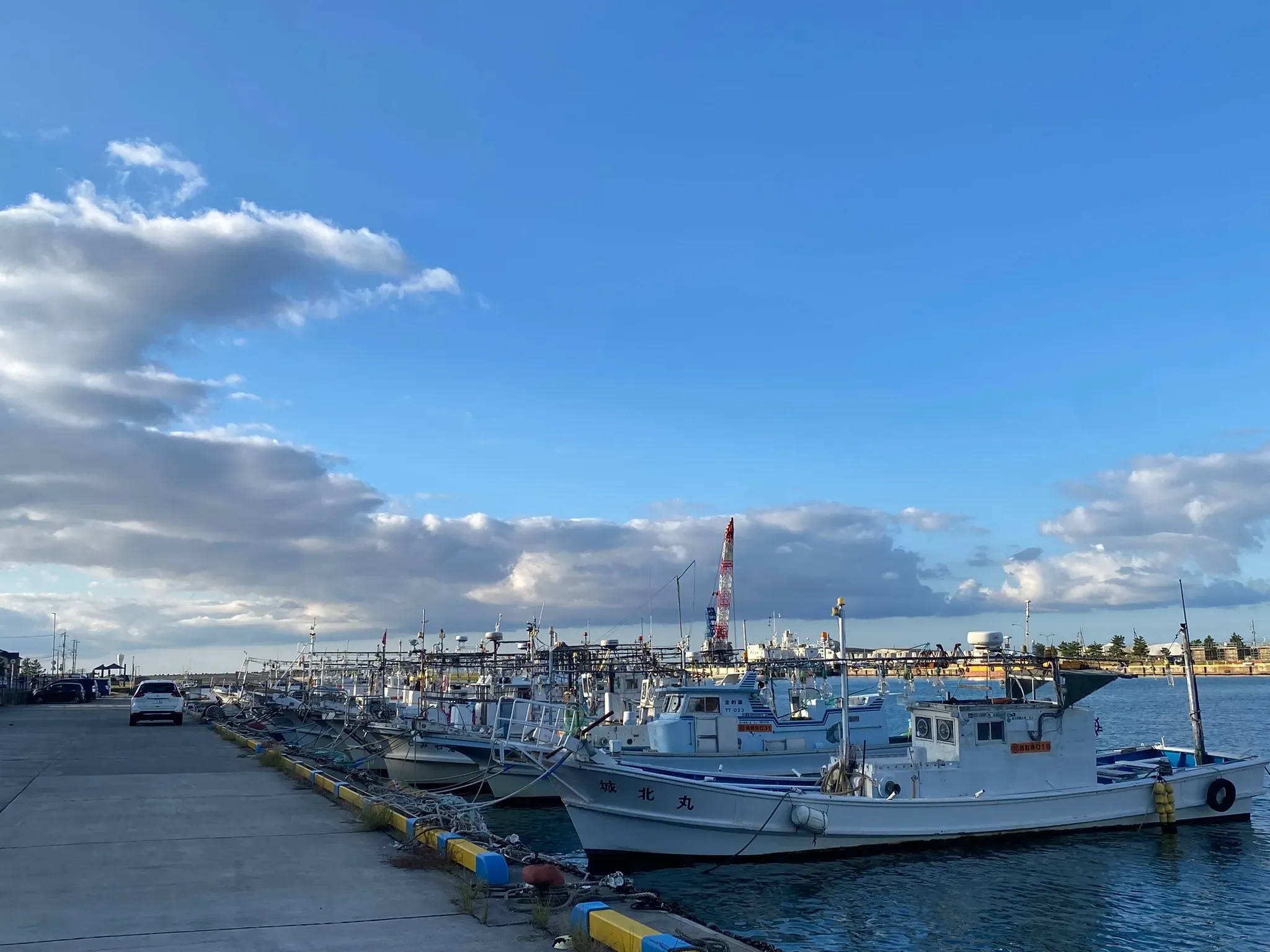 鳥取の漁港から届く松葉ガニ