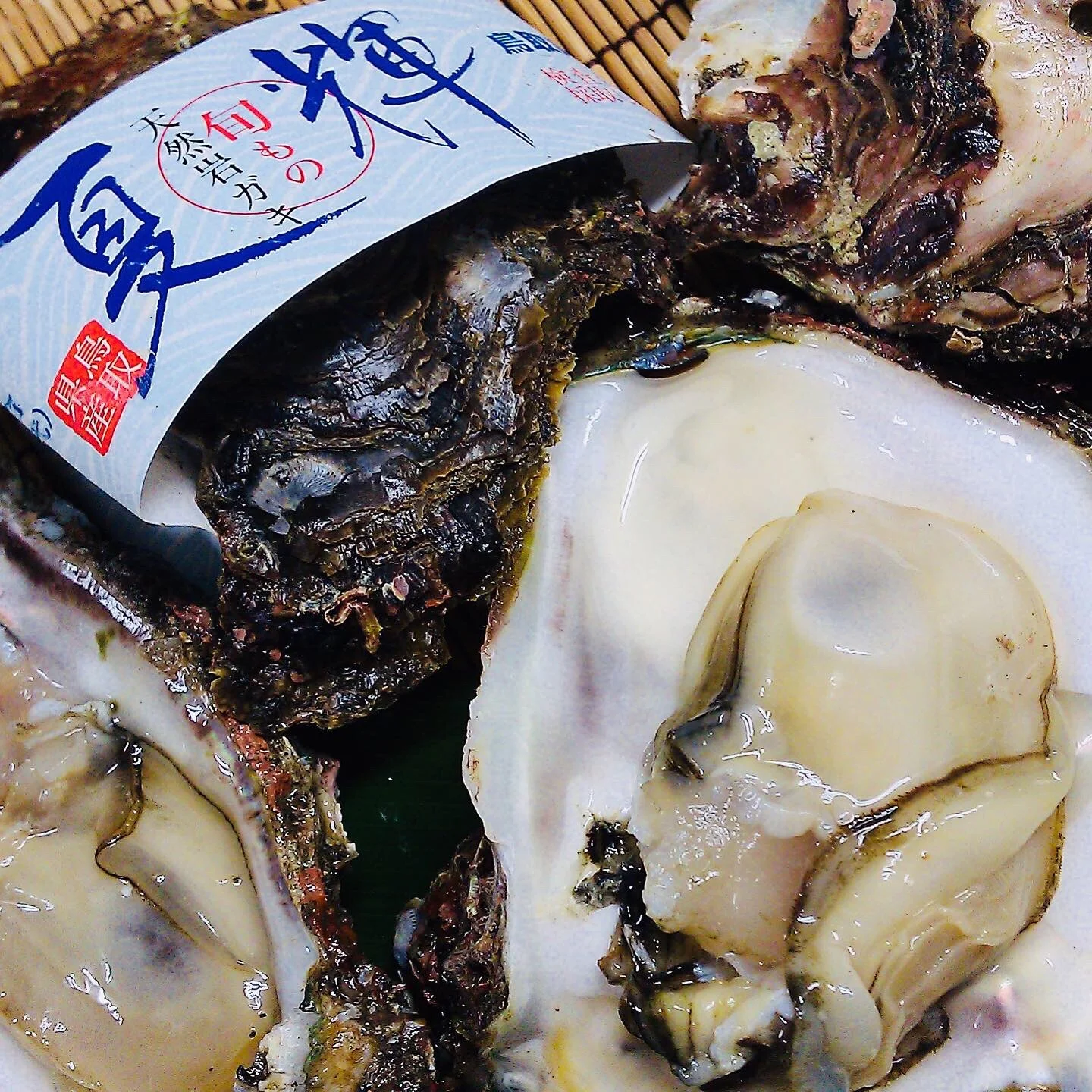 山陰名産の岩牡蠣