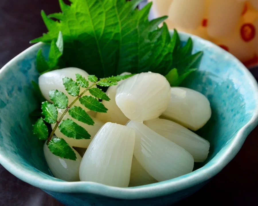 新鮮な白い野菜