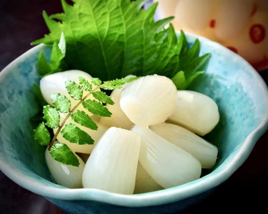 砂丘らっきょう