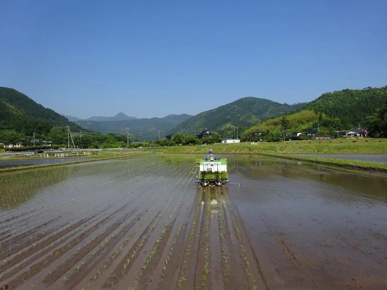 鳥取県河原町の大隅さんの田植え風景